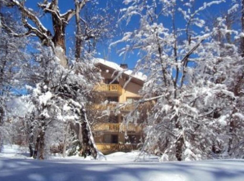 Termas De Chillan Apart Nevados de Chillan